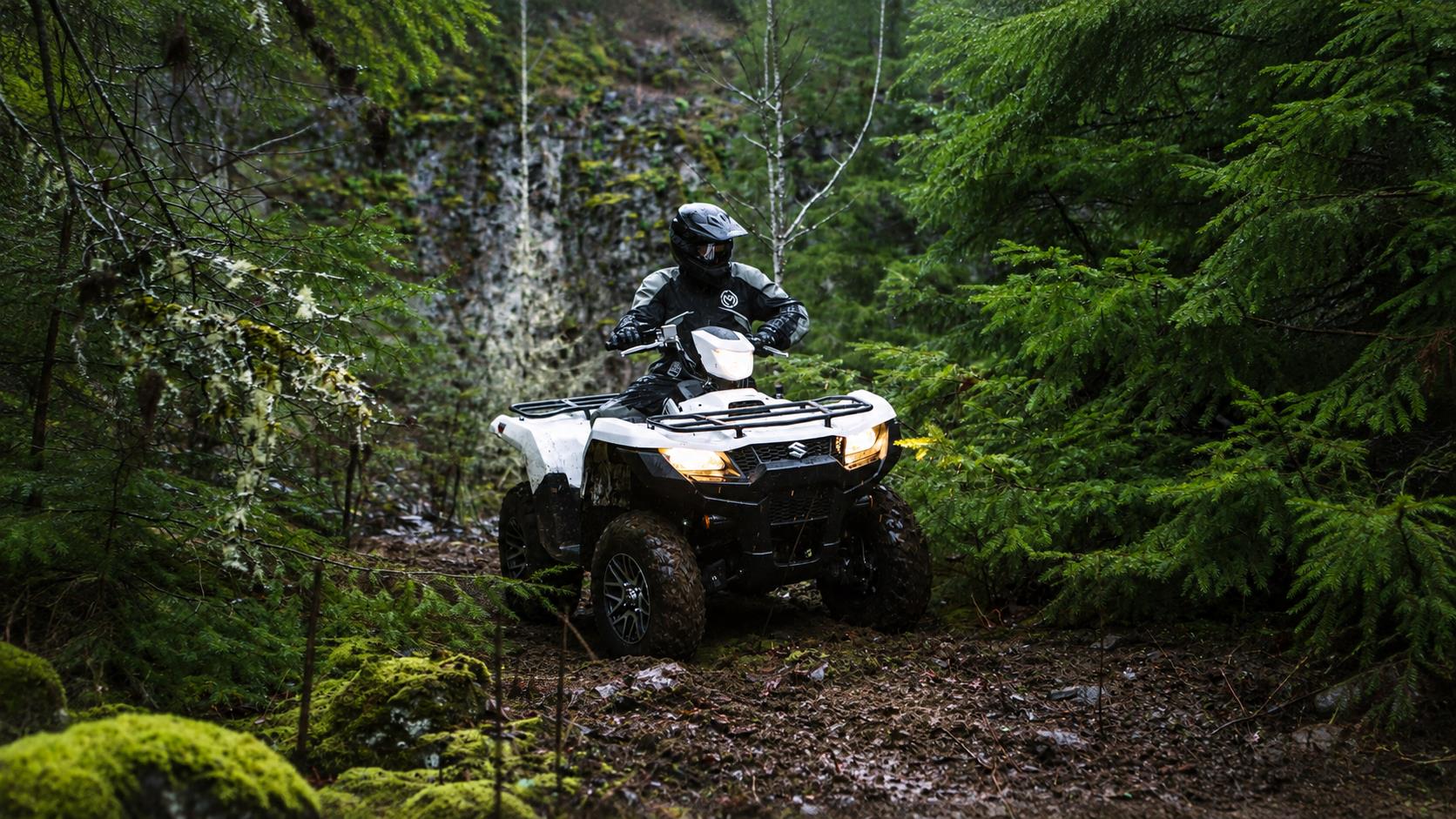 Suzuki | Kingquad
